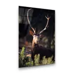 Brown Deer - Rectangle Glass Art