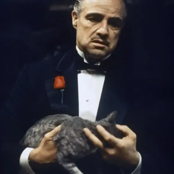 The Godfather - Rectangle Glass Art