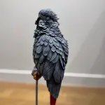 Elegant Parrot Statues with Handmade Details – Decorative Sculpture Set for Home or Office 